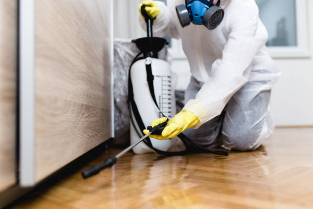 Best Cockroach Control Services  in Kettering, MD