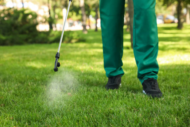 Best Affordable Pest Control Services  in Kettering, MD