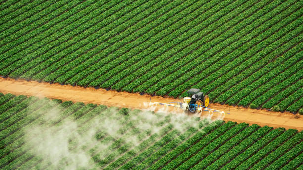 Best Mosquito Control Services  in Kettering, MD