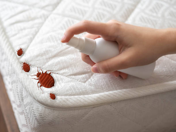 Best Pest Control Near Me  in Kettering, MD